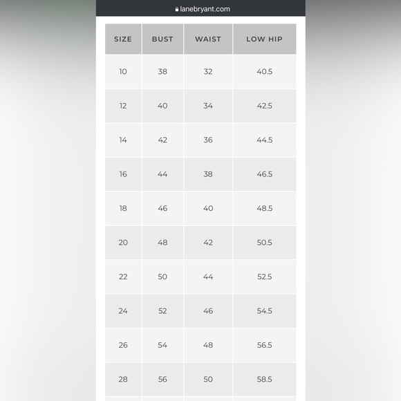 Lane Bryant Mesh Embroidered Black Blouse Sz 26/28 - Picture 16 of 16